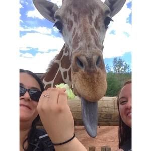 Meet your Posher, Stephanie